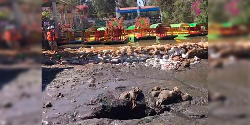 Grieta-succiona-canal-de-Zacapa-en-Xochimilco