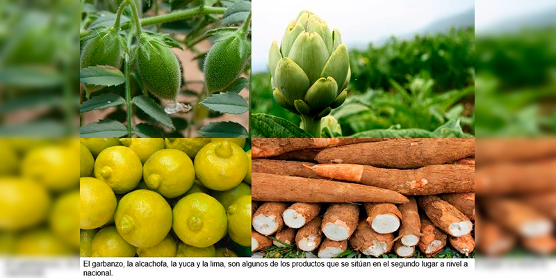 #Michoacán-2do-Lugar-En-12-Productos-Del-Campo-A-Nivel-Nacional