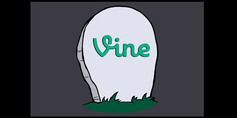 VINE