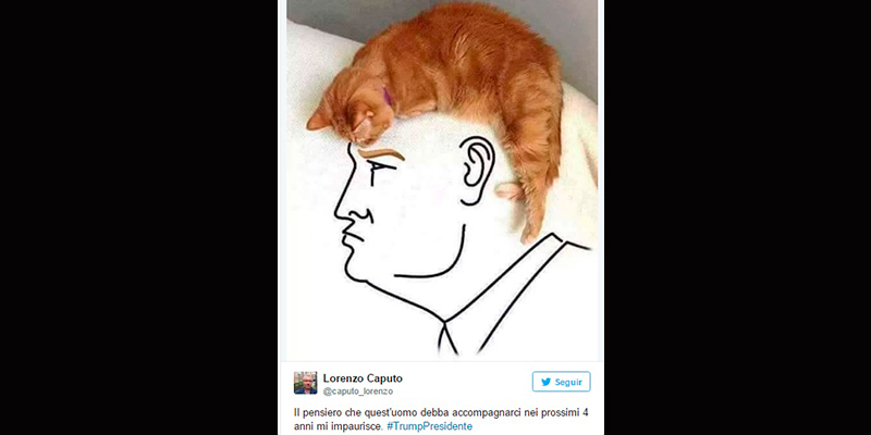 meme Trump presidente