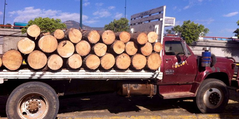 #Michoacán-Asegura-Procu-2-Unidades-Que-Transportaban-Madera;-Hay-4-Detenidos