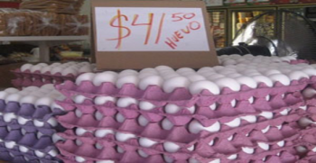 huevo aumento a más de 40 pesos