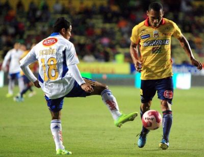 monarcas tigres 2