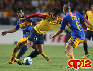 monarcas tigres monarcas tigres