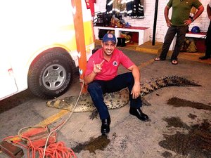 cocodrilo nayarit protección civil