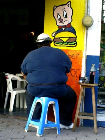 gordo obeso