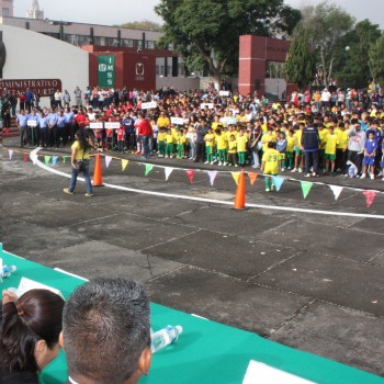 imss