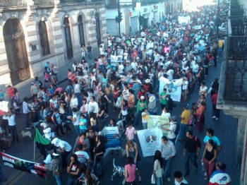 marcha animales