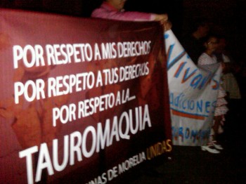 pro tauromaquia toreo
