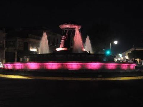 tarascas-rosas20121009