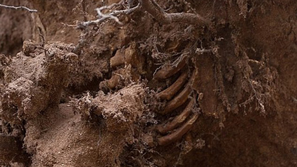 Encuentran restos humanos entre ruinas de Sandy