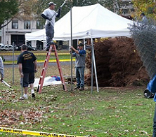 Encuentran restos humanos entre ruinas de Sandy