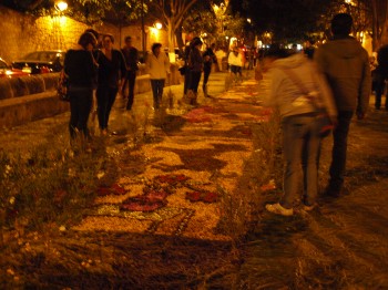 Morelia Ya Huele A Cañas, Gorditas Y Fútbolitos: San Diego 2012