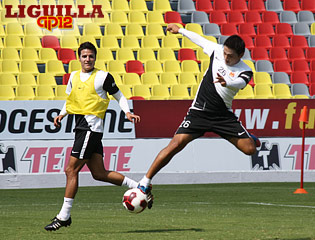 monarcas