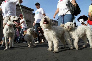 marcha