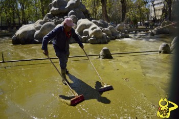 Limpian fuente del Bosque por rutina, no por pato muerto