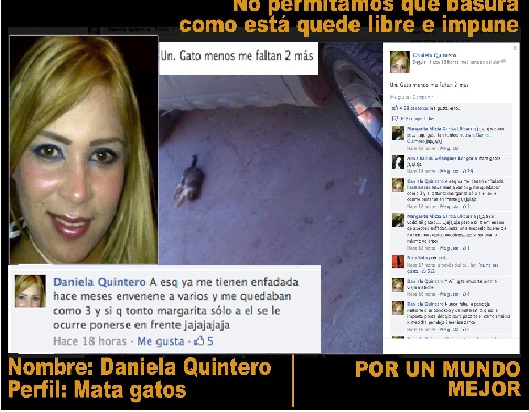 MUJER MATA gatitos la buena