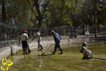 fuente de los patos limpieza 2