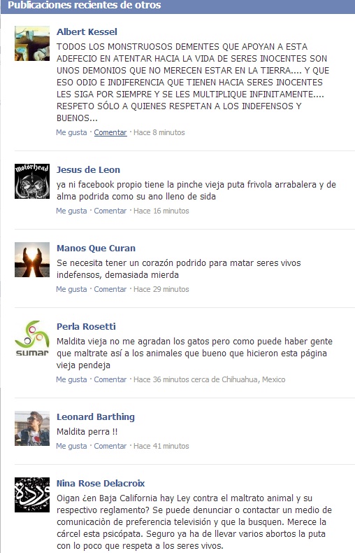 mujer mata gatitos reacciones facebook