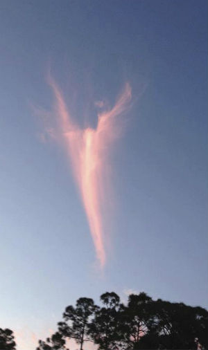 angel