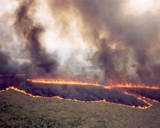 Son 10 mil las hectáreas devastadas por incendios en SLP