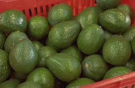 aguacate