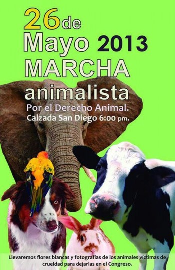 marcha animalista 26 de mayo 2013