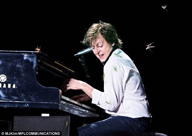 Paul McCartney es atacado por saltamontes en pleno concierto en Brasil