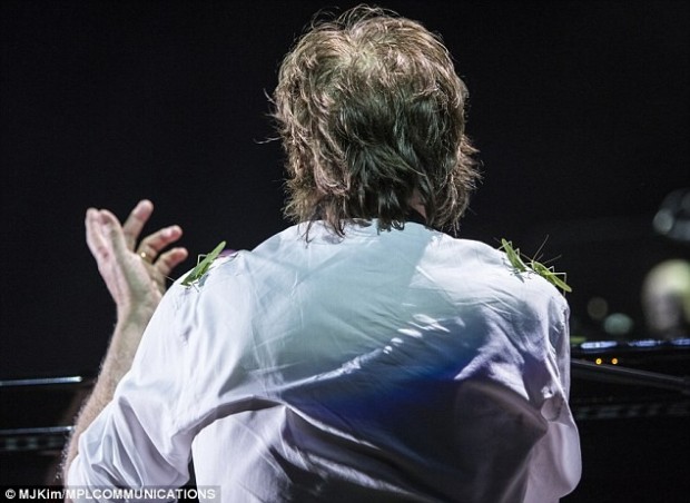 Paul McCartney es atacado por saltamontes en pleno concierto en Brasil