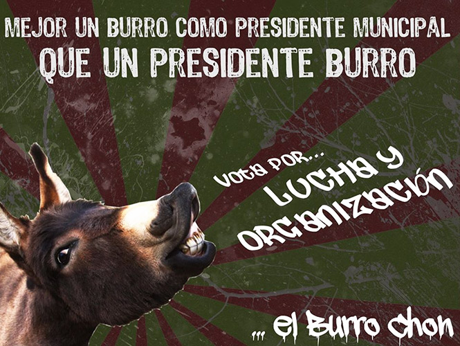 VIDEO: Lanzan de candidato al Burro CHON en Ciudad Juárez