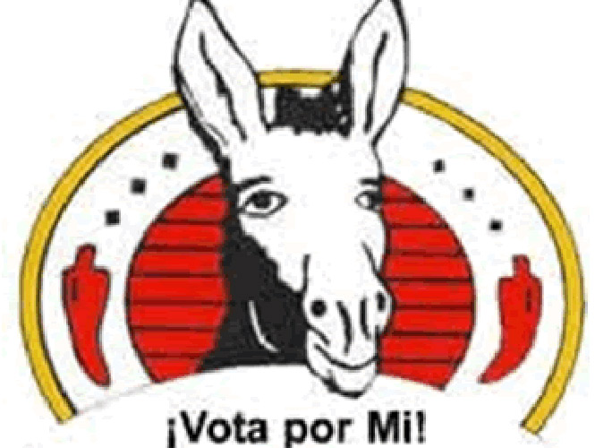 VIDEO: Lanzan de candidato al Burro CHON en Ciudad Juárez
