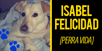 Soy una perrita criolla nacida en 2005. Me echaron a la calle desde pequeña, vagué y luché contra la adversidad hasta que encontré mi verdadero hogar. Ahora me la paso en mi casa comiendo y bebiendo agüita, jugando con mi hueso de hilo y disfrutando de mi camita. Creo que si los humanos no se complicaran tanto, la vida (de todos) sería mejor. En este espacio comparto con ustedes mis reflexiones perrunas acerca de esta Perra Vida