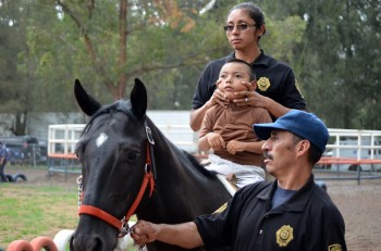 equino terapia