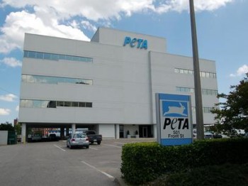 peta instalaciones