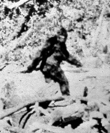 Una de las primeras imágenes del supuesto "Yeti" acpatada en EU en 1967