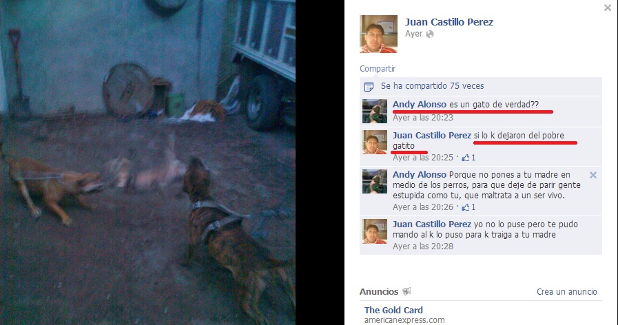 asesino de gatos foto facebook 2