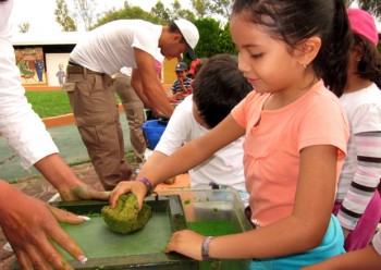 curso-verano03