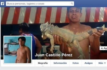 el matagatos regresó facebook