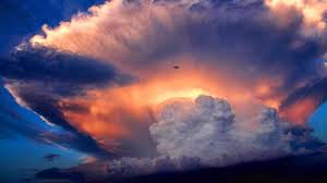 nube hongo
