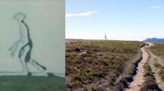 Extraterrestre fantasma