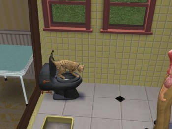 Gato usa el inodoro