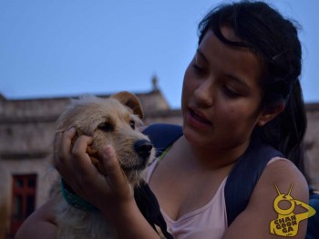 Día Internacional de los Animales Morelia04