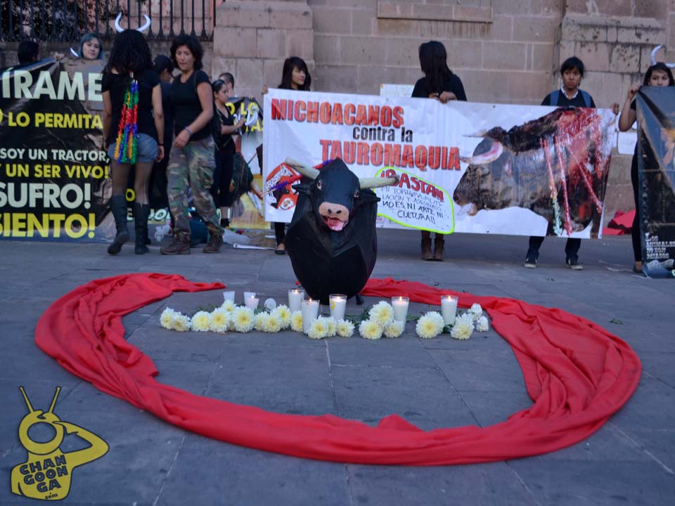 Día Internacional de los Animales Morelia15