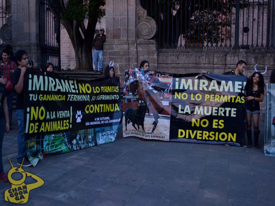 Día Internacional de los Animales Morelia19