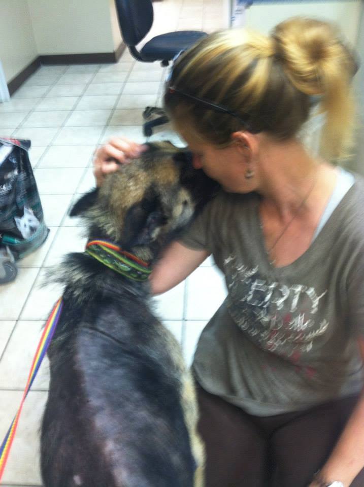 Joseph perro atado a un árbol3