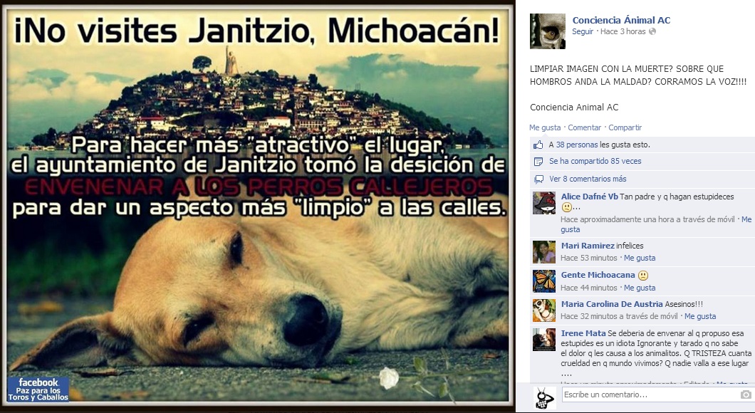 campaña boicto janitzio