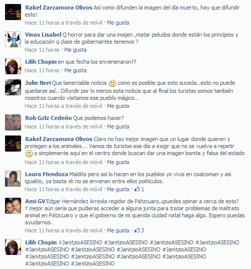 janitzio matanza perros callejeros reacciones talia