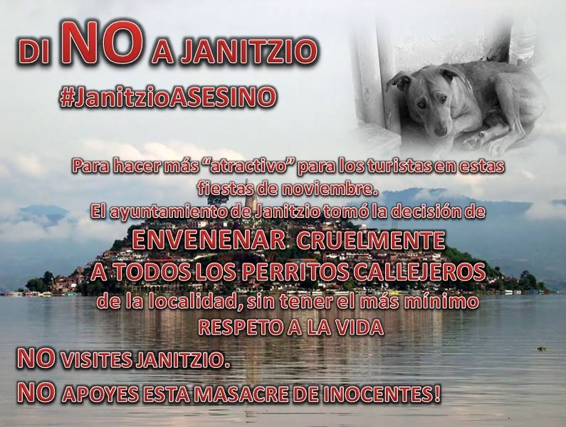 janitzio matanza perros diseño 1