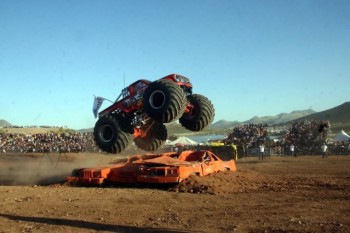 monster truck chihuahua