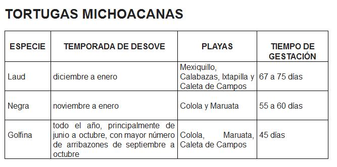 tortugas michoacanas turismo cuadro